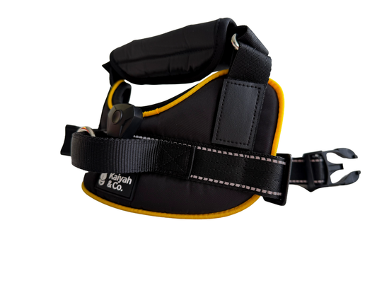 The Glow Harness