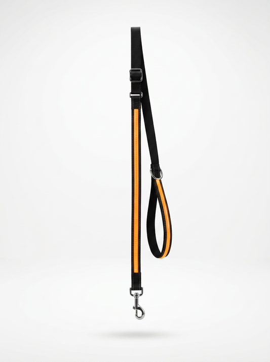 The Glow Leash