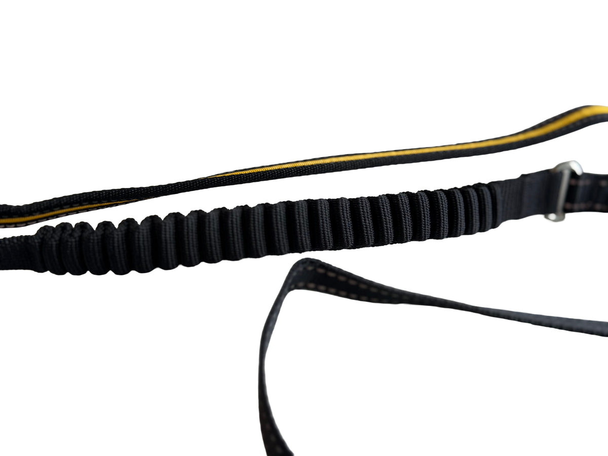 The Glow Leash