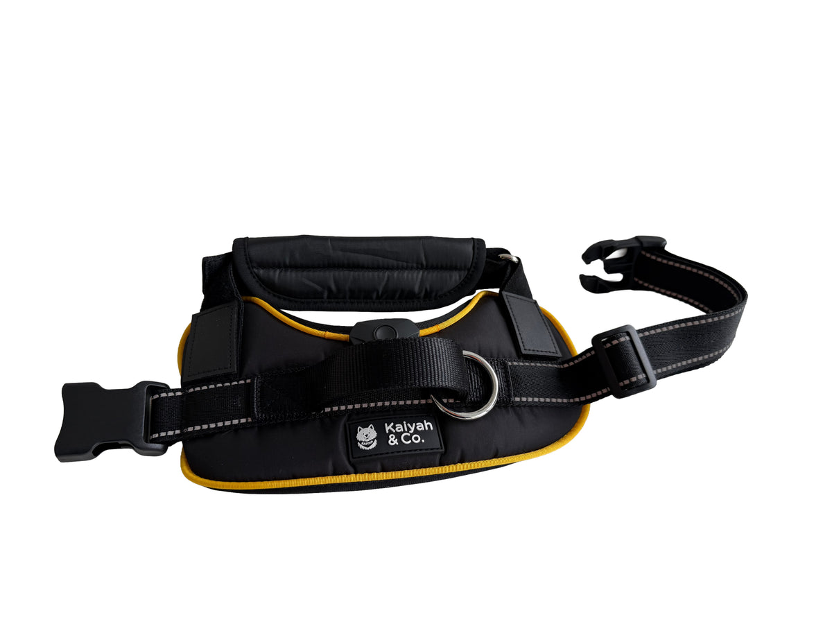 The Glow Harness