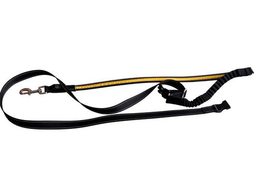 The Glow Leash